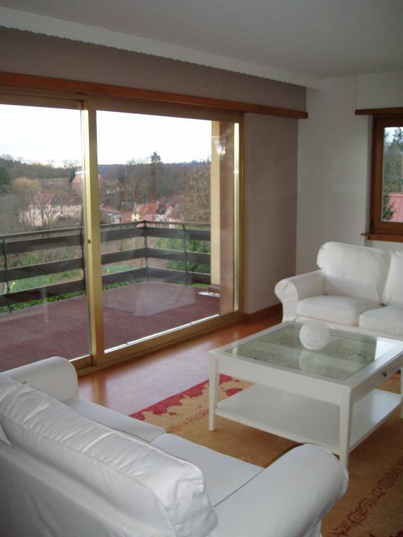Villa Du Lion D'Or La Petite-Pierre Room photo